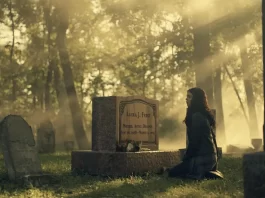 Former IDW exec David Ozer sentenced in embezzlement case