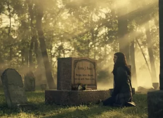 Former IDW exec David Ozer sentenced in embezzlement case