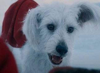 Find “Krypto’s Golden Biscuit” and attend the SUPERMAN world premiere