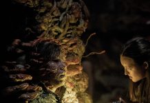 THE LAST OF US S2x05 Recap: Seattle, Day Two