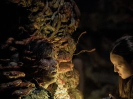 THE LAST OF US S2x05 Recap: Seattle, Day Two