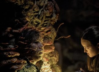 THE LAST OF US S2x05 Recap: Seattle, Day Two