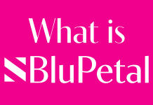 New manga publisher BluPetal launched blupetal new publisher announcement