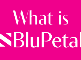 New manga publisher BluPetal launched blupetal new publisher announcement