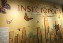 Society of Illustrators Bugs Out For Peter Kuper’s Insectopolis Exhibit