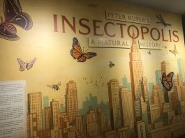 Society of Illustrators Bugs Out For Peter Kuper’s Insectopolis Exhibit