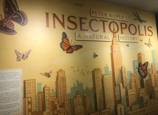 Society of Illustrators Bugs Out For Peter Kuper’s Insectopolis Exhibit