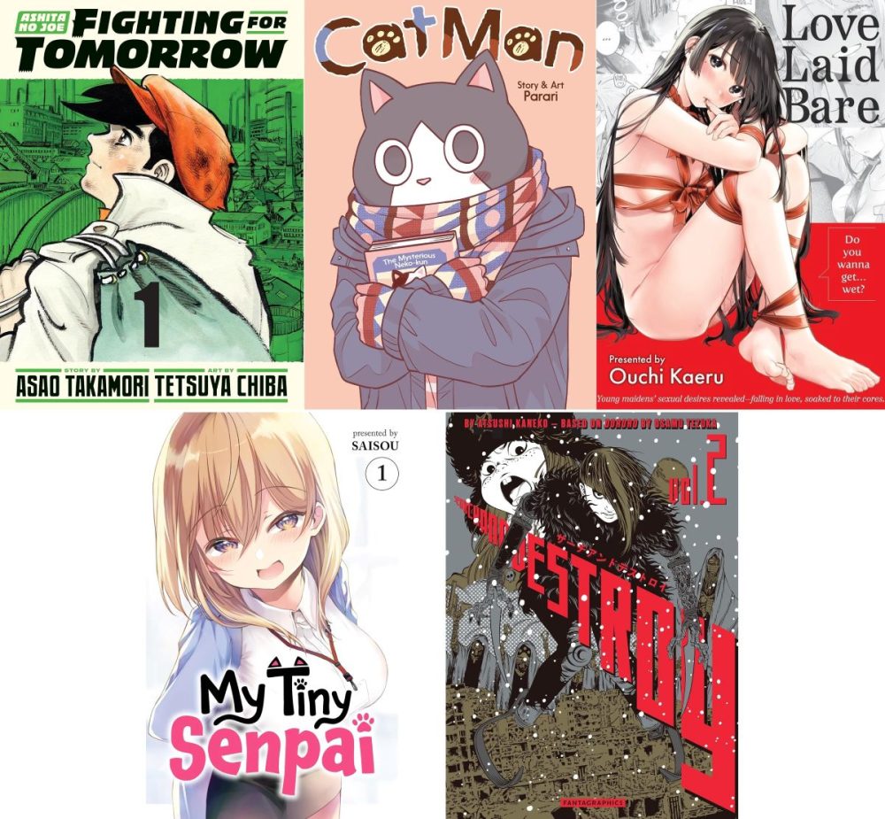 Best Manga Lettering 2025