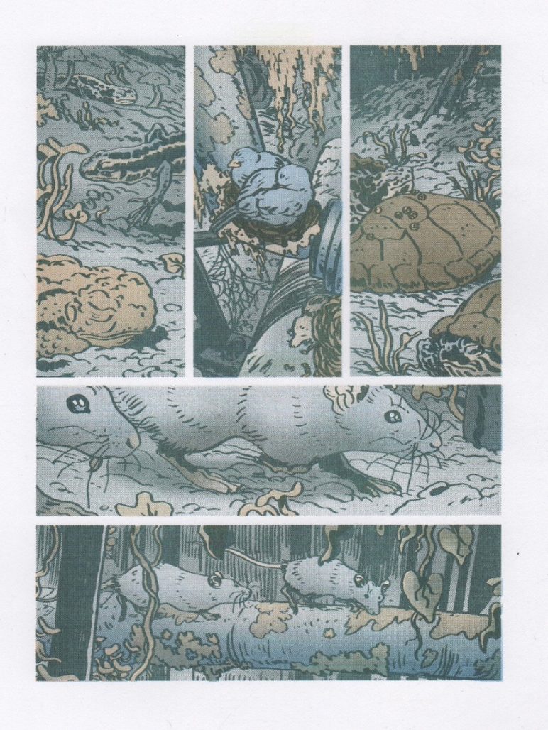 a page from Daystar
