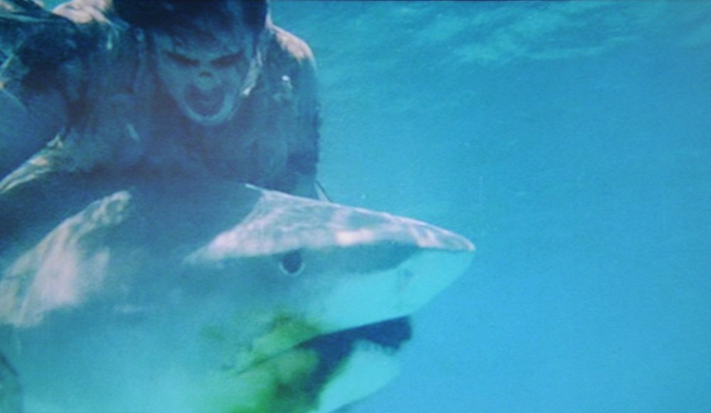 fulci