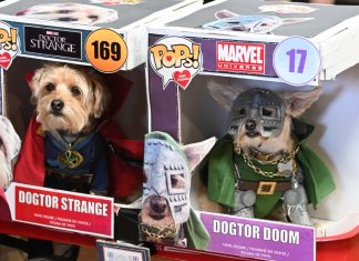 SDCC ’25: 13th Annual PAWmicon celebrates pets & their adopters