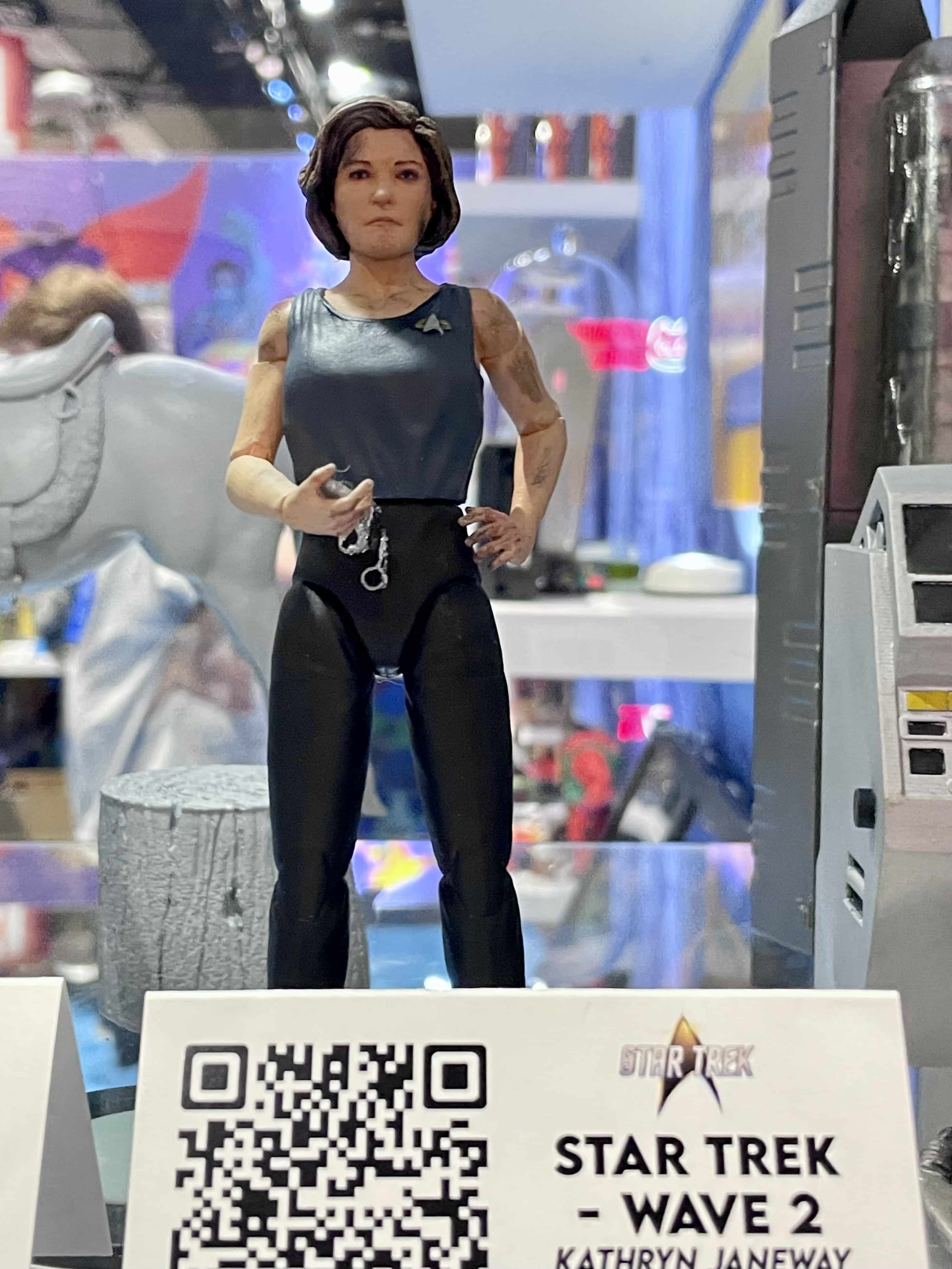 Janeway "Year of Hell" figure.