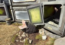 SDCC ‘25: The ALIEN EARTH activation will have your chest bursting…with joy