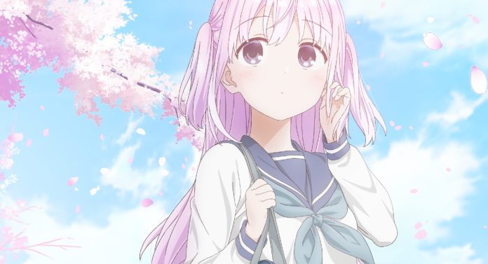 kashiwada-feature-image