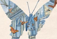 Peter Kuper receives Entomological Society Award for INSECTOPOLIS