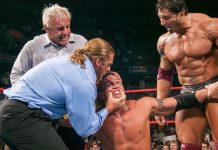 Turnbuckle BEATdown: Remembering the Reign(s) of Terror: Triple H