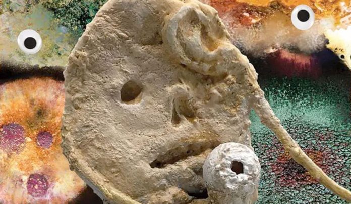 mold-banner Trademark Nick Borelli head-ear