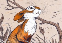 Sturm & Sutphin’s WATERSHIP DOWN adaptation wins French critics comics award