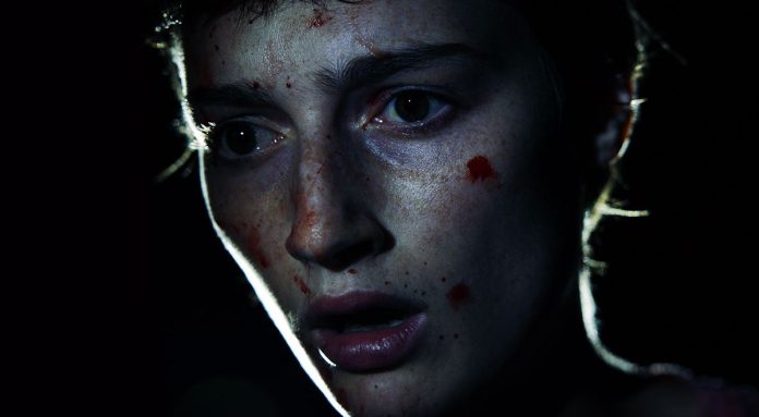 mother-flies-cover mother of flies