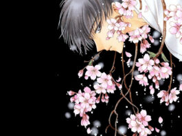 clamp official artbook color kuro from yen press