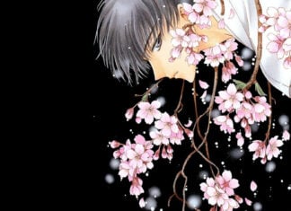 CLAMP’s official artbook COLOR KURO is a gorgeous collection of a life’s work clamp official artbook color kuro from yen press