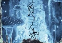 French critics association ACBD announces 2025 Kids Prize Winner and Grand Prize Finalists