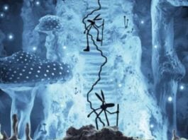 French critics association ACBD announces 2025 Kids Prize Winner and Grand Prize Finalists