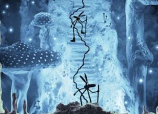 French critics association ACBD announces 2025 Kids Prize Winner and Grand Prize Finalists