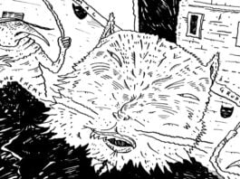 Graphic Novel Review: NIGHT DRIVE delivers must-read Richard Sala source code