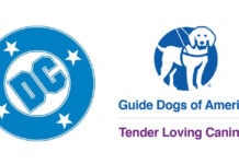 DC announces collaboration with Guide Dogs of America to support real-world superdogs