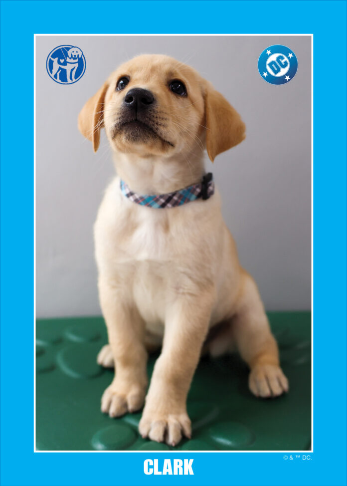 Guide Dogs Magazine DC announces collaboration with Guide Dogs of America to support real ...