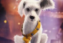 Move over Grogu! DC Shop unveils puppy Krypto merch!