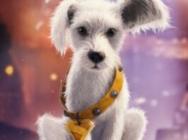 Move over Grogu! DC Shop unveils puppy Krypto merch!