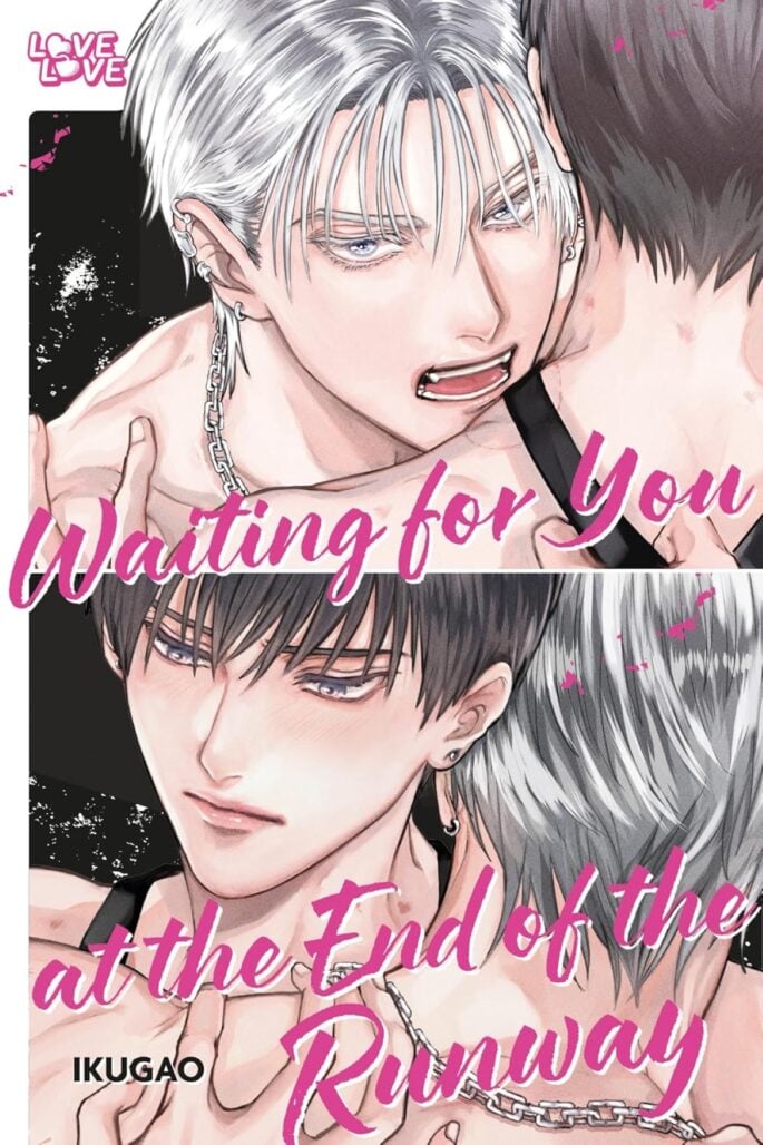 Waiting for You At the End of the Runway cover art