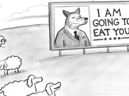 Paul Noth named first Cartoonist Laureate of Wisconsin
