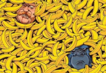 Talking gorilla goes on the run in Rahal and Monaco’s CRIMES AGAINST NATURE