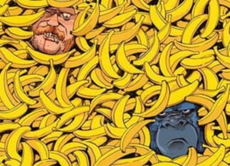 Talking gorilla goes on the run in Rahal and Monaco’s CRIMES AGAINST NATURE