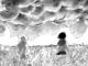 Manga Review: In COCOON, home is behind enemy lines A sea of flame in Cocoon