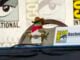 SDCC ’26: Kicking off the future of TINY CHEF with a movie Tiny Chef Cheffy Doll