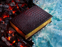 $2k limited anniversary edition of A GAME OF THRONES published by the Folio Society