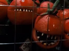 SDCC ’26: Get an early look at ATTACK OF THE KILLER TOMATOES: ORGANIC INTELLIGENCE