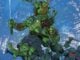 Interview: Matthew Rosenberg dares the internet to guess his favorite Ninja Turtle Mathew Rosenberg TMNT