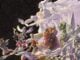 Dark Horse’s THE LEGEND OF ZELDA: TEARS OF THE KINGDOM—SECRETS OF THE ZONAI delayed