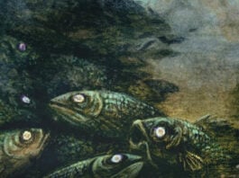plagued sea