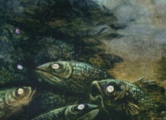 Horror Beat: Kim Bo-young ‘s A PLAGUED SEA gives humanity to eldritch horrors plagued sea