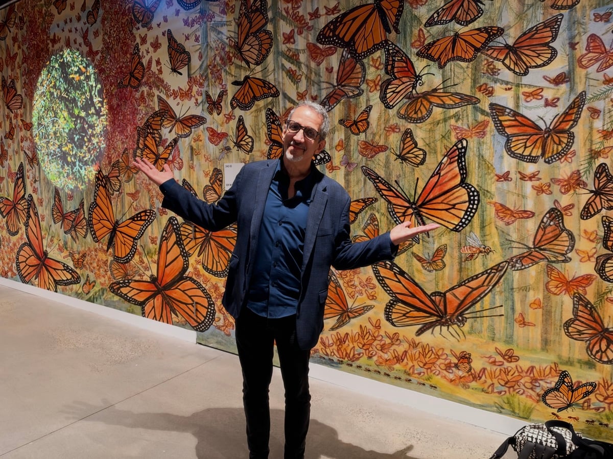 amnh-monarchs-05